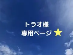 トラオ様 おまとめ専用ページ ２点