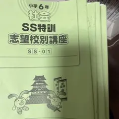 サピックス　社会ss特訓と夏期集中特訓