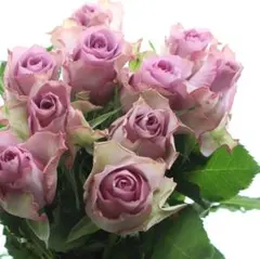 CocoDory様 リクエスト 5点 まとめ商品