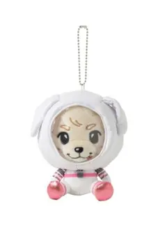 2025年最新】岩田剛典 ぬいぐるみの人気アイテム - メルカリ