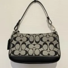 COACH アクセサリーポーチ ワンショルダー ブラック Y2K 6094