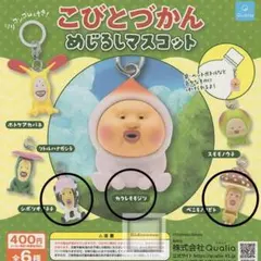 専用　こびとづかん　購入不可