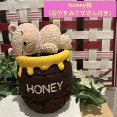 498☆おやすみクマさん3点セット モルタル雑貨（お任せ植物付き