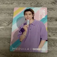 MEDULLA BUDDiiS SEIYA 岡本聖哉 ヘアカルテカード