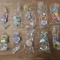 TRUZ めじるしアクセサリー コンプセット