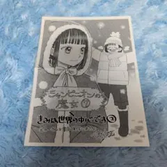 特典ペーパー