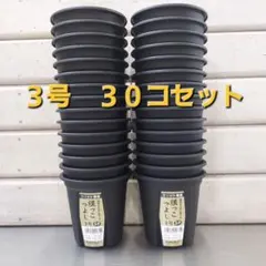 ★セットがお買い得！ 生育環境を整えるスリット構造！根っこつよし　３号　３０コのサムネイル