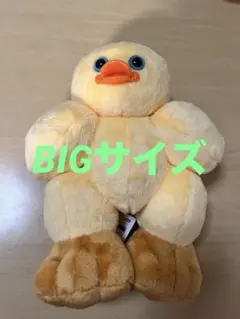 TeddyJOJO BIGぬいぐるみ mojojojo ヒヨコ