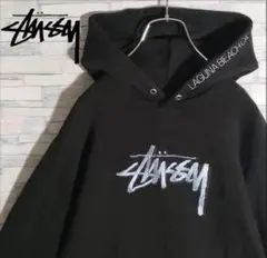 【希少モデル】ステューシー パーカー 刺繍センターロゴ ストックロゴ S
