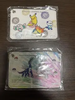 ポケモンパスケース