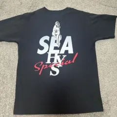 2025年最新】ウィンダンシー ヒステリックグラマー tシャツの