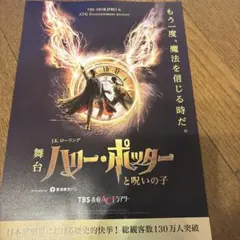 舞台 ハリー・ポッターと呪いの子 フライヤー平岡祐太大貫勇介吉沢悠