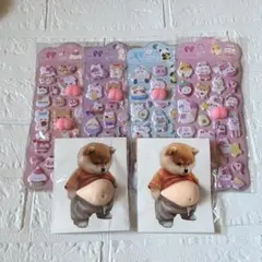 おしりぷにぷにシール お腹ぷっくりシール ぷにぷに 3D 立体 柴犬 6枚セット