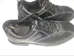 Item thumbnail for item 81cbeed0-bfee-417e-ae60-0e1fbde67c17