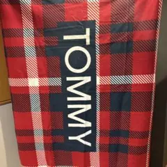 POLO RALPH LAUREN TEAM USA 星条旗 大判 ビーチタオル - メルカリ