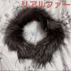 リアルファー マフラー 襟巻き チャイニーズラクーン タヌキ