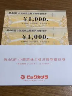 ビックカメラ 株主優待券 1,000円×2枚