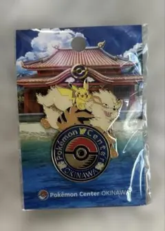 【沖縄限定】ピンズ ピンバッジ 10個セット　ポケモンセンター オキナワ ポケモンセンター オキナワ ロゴピンズ バッジ 沖縄 限定 - メルカリ