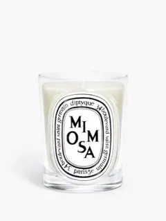 新品未使用】190g diptyque BAIES アロマキャンドル - メルカリ