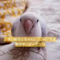☆まいめろ☆ちゃん(´ ˘ `๑)♡さま専用オーダーテント