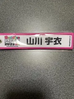 櫻坂46 buddies感謝祭　ネームタグキーホルダー　山川宇衣