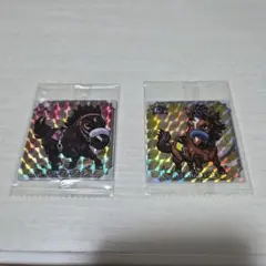 りーたさん専用 サラブ烈闘 FMR 2枚セット