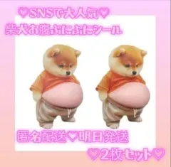 【明日発送】新品未使用　おなか ぷにぷに シール 柴犬 ステッカー 　２枚セット