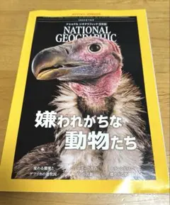National Geographic 2025年7月号