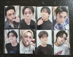 FANS ヨントン VC 8枚 コンプ スキズ KARMA Stray Kids