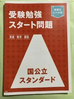 進研ゼミ高校講座　受験勉強スタート問題・大学入試対策ワーク