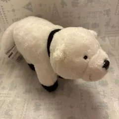 スパイファミリー　ボンド　ぬいぐるみ