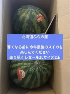 紅まくら 特大2玉入り 甘くて美味しい16〜17 Kg | Mercari