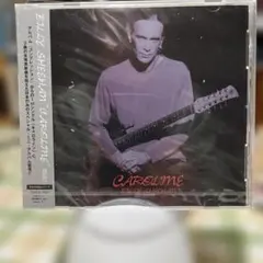 Billy Sheehan 「Caroline」ビリーシーン