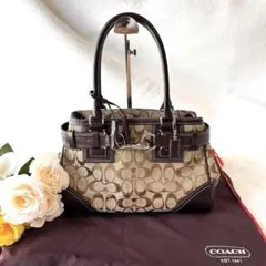 2026年最新】coach 10245の人気アイテム - メルカリ