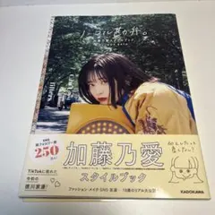 ノーマル勘弁。 加藤乃愛スタイルブック