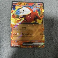 ポケモンカード ホゲータex