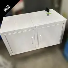 2025年最新】冷やし虫家の人気アイテム - メルカリ