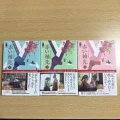 赤い袖先 上中下　カン・ミガン