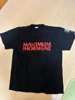 Item thumbnail for item 2e80efb9-7b81-400b-a1a8-11db40df70dc