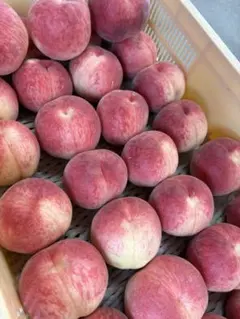 262山梨県産 桃 約3kg ご家庭用・加工用【訳あり】のサムネイル