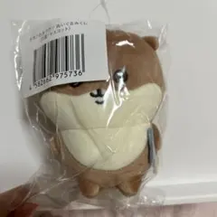 ナガノのくま ナガノのカワウソ ぬいぐるみくじ D賞 マスコット