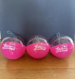 ディズニー　ミニーのファンダーランド　 カプセルトイ ケース　ガチャガチャ