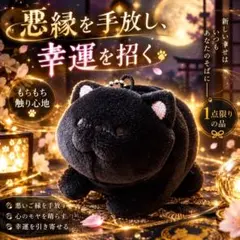 悪縁を断ち幸運を招く黒猫様 ✨ 開運・魔除け お守り 座敷わらし
