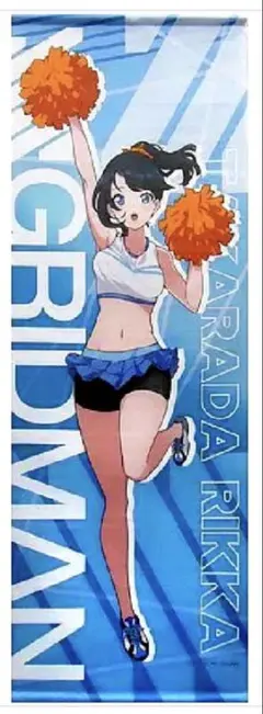 SSSS.GRIDMAN 一番くじ 等身大ビジュアルクロス 宝多六花 - メルカリ