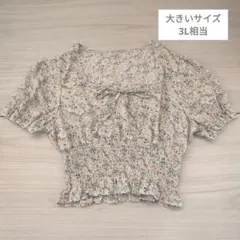 大きいサイズ1XL（3L相当）花柄ブラウスのサムネイル