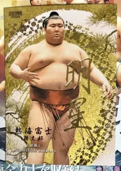 大の里 森輝 BBM 2026 大相撲カード - メルカリ