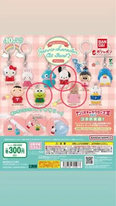 めじるしアクセサリー サンリオキャラクターズオールスターズ 3個セット