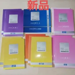 新品 PER SPECTIVE 小学6年 理系・文系 13冊セットena