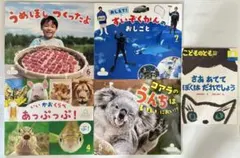 サンチャイルド ビッグサイエンス こどものとも 絵本 5冊セット