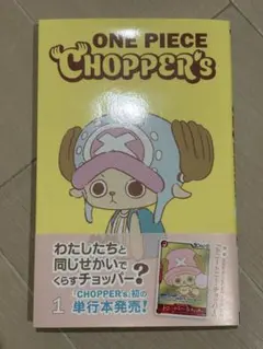 ONE PIECE CHOPPER'S